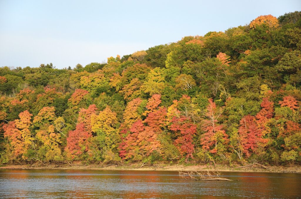 Fall Colors along the St Croix in Stillwater MN