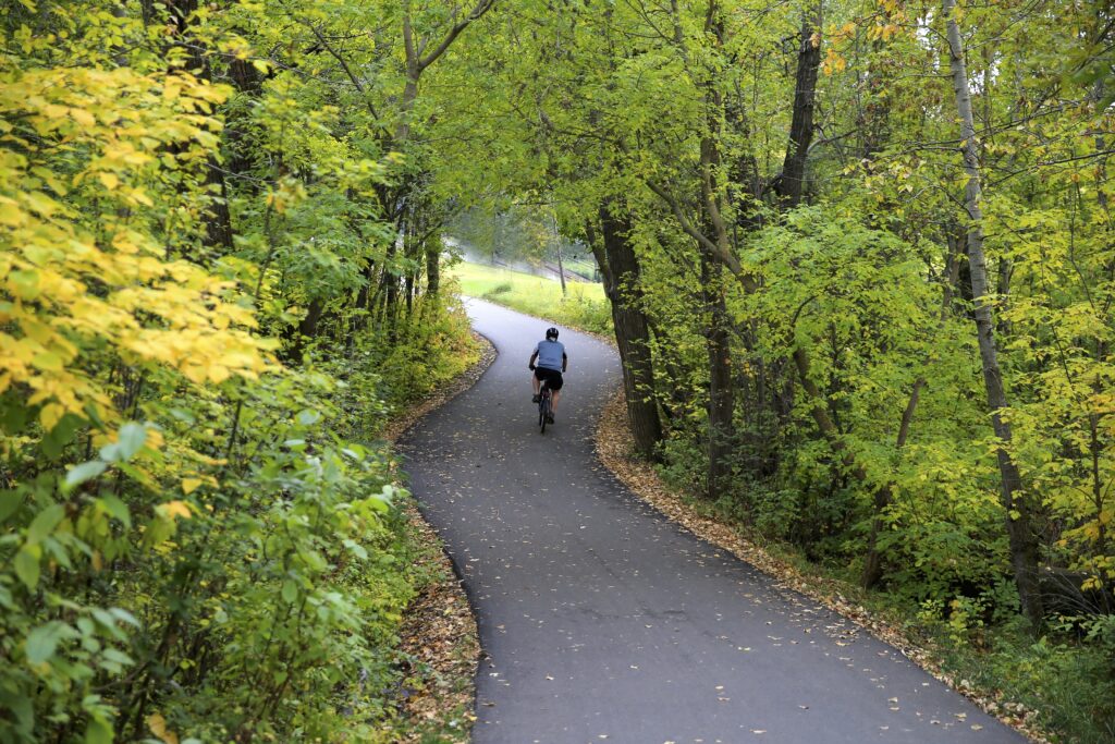 Bike riding away from camera on paved Minnesota bike trail surrounded by foliage.