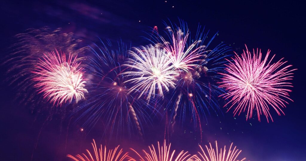 Multiple vibrant pink and white fireworks burst against a dark night sky.