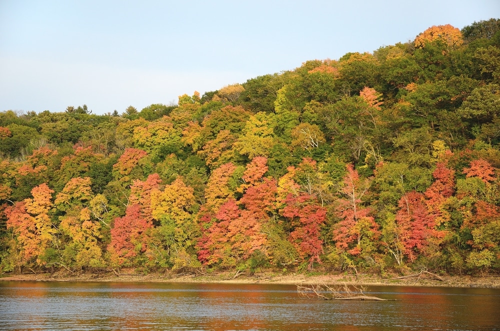 Where to Find the Best Minnesota Fall Colors 2 Minnesota fall colors