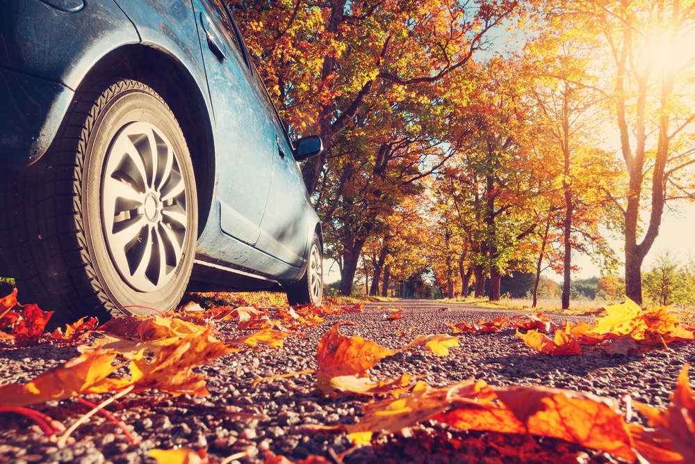 The Best Scenic Drives in Minnesota 1 Scenic Drives in Minnesota
